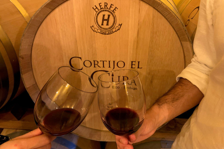 Almería: Ruta del vino y cata en Bodega Ecológica