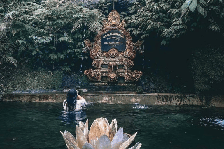 Bali: Taman Pecampuhan Sala Temple Melukat Ceremony