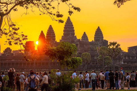 Angkor Wat - Excursion privée d'une journée incluant le lever du soleil (Tuk Tuk)