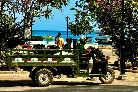 زنجبار: جولة إرشادية في مدينة ستون تاون مع تذكرة سوق العبيد