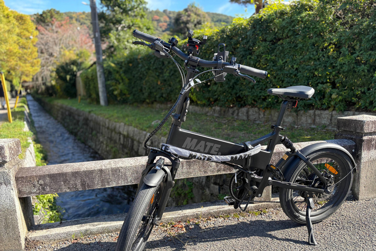 Kyoto: Higashiyama Premium E-Bike Tour with guide