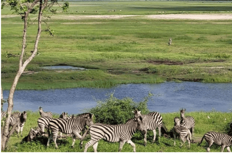 Safari de 3 días en Chobe con paseos en barco y safarisSafari de 3 días por Chobe con paseos en barco y safaris en vehículo