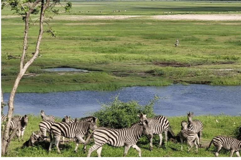 Safari de 3 días en Chobe con paseos en barco y safarisSafari de 3 días por Chobe con paseos en barco y safaris en vehículo
