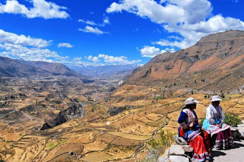 Tour del Canyon del Colca di un giorno ad Arequipa con prima colazione