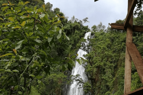 Moshi : Cascades de Materuni et visite de la plantation de café avec déjeunerMoshi : visite des chutes de Materuni et d&#039;une plantation de café avec déjeuner