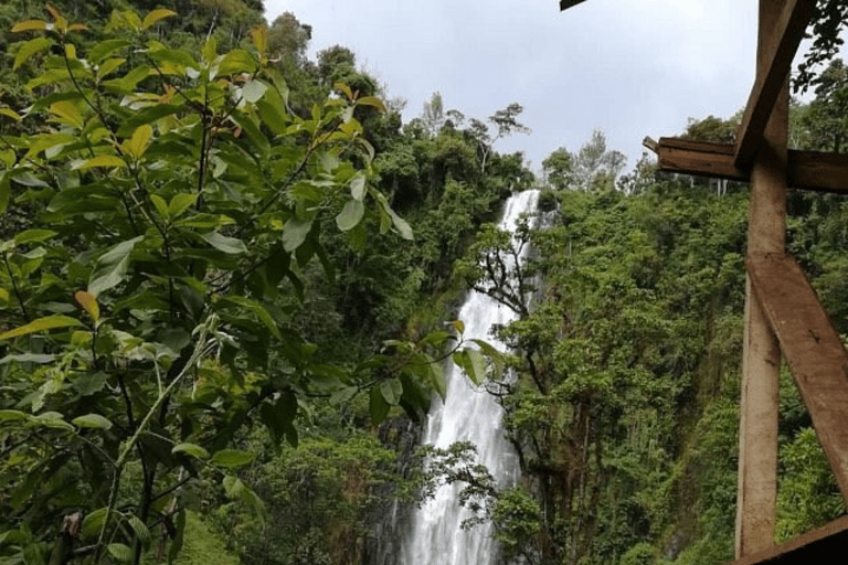 Moshi : Cascades de Materuni et visite de la plantation de café avec déjeunerMoshi : visite des chutes de Materuni et d&#039;une plantation de café avec déjeuner
