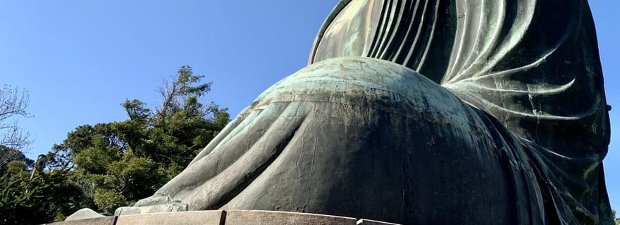 Visite d'une demi-journée privée et personnalisée avec un guide de la région