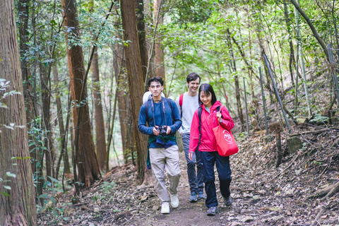 Kyoto: Randonnée cachée du sanctuaire Fushimi Inari de 3 heures