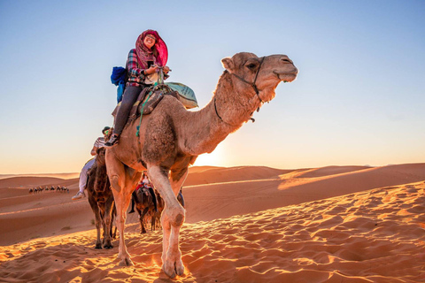 Från Marrakech : 7 dagars utforskning till Tanger via Merzouga sanddyner