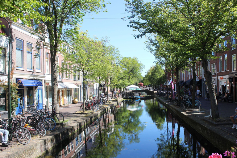 Amsterdam: Delft, Leiden, and Gouda Private Tour by locals