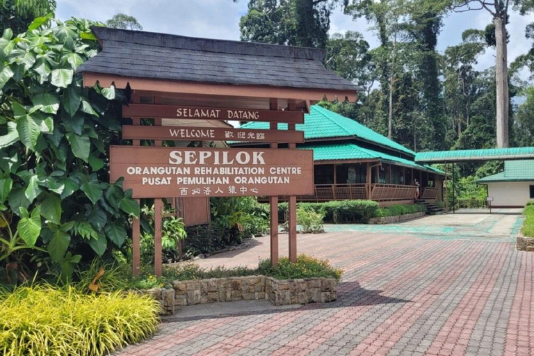 Sepilok OrangUtan, Sun Bear e Labuk Bay Giornata intera (PVT)