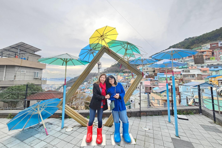 Hoogtepunten van Busan: Tour in kleine groep, dagvullende tour - Max 6 gastenTour in kleine groep voor algemene gasten