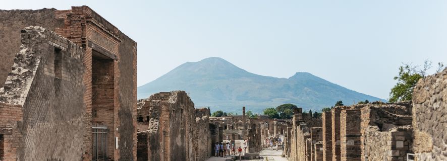 From Rome: Pompeii and Mount Vesuvius Day Trip
