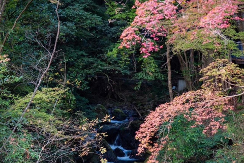 Kyoto: Kurama Onsen Entry Ticket with Set Meal Onsen Full Set＋Yuba Shabu Yudofu Set Meal