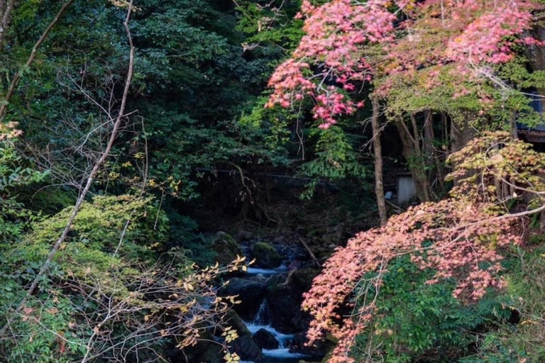 Kyoto: Kurama Onsen Entry Ticket with Set Meal Onsen Full Set＋Yuba Shabu Yudofu Set Meal