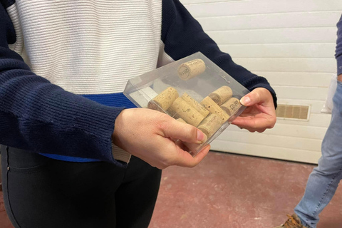 Albufeira, Olhão, Faro: visit to a vineyard, free time in Silves