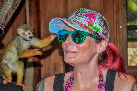 Punta Cana: Monkey Sanctuary, Farm & Cenote Swim Combo