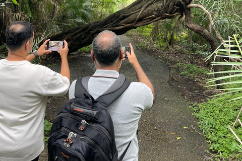 Zimbabwe & Zambia: Victoria Falls Tour with Guide and Lunch