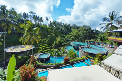 Bali: Escursione privata di un giorno alle cascate, al villaggio e al Pool Club di UbudBali: gita giornaliera privata alla cascata di Ubud, al villaggio e al pool club