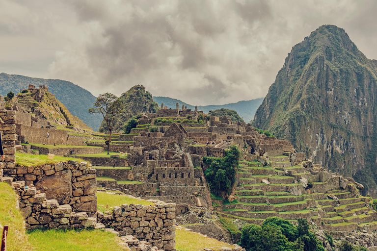 TREK DE 4 JOURS À LA RETRAITE DES LAMAS VERS LE MACHU PICCHU