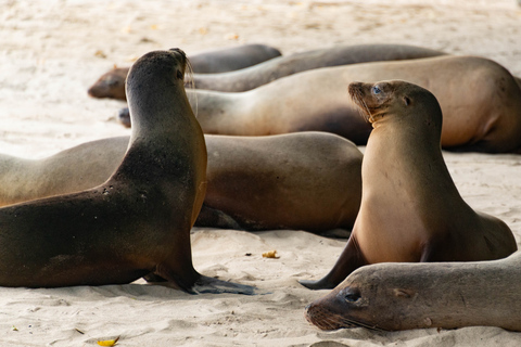 San Cristóbal: La Lobería Tour
