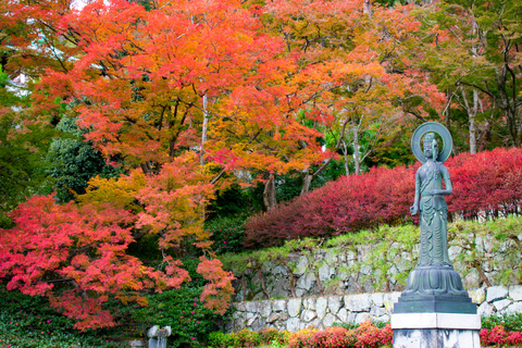 Osaka/Kyoto: Katsuoji & Arashiyama & Kinkakuji Day Tour 9:00 AM Depart from Kyoto