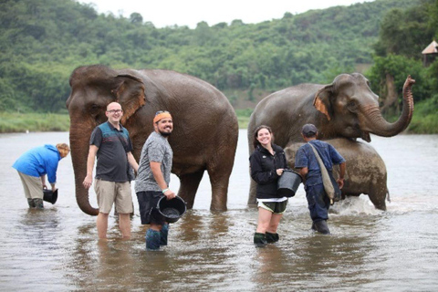 Agra: Skip the Line Taj Mahal & Elephant SOS Tour with Lunch All Included Tour with Car, Guide, Tickets & Lunch