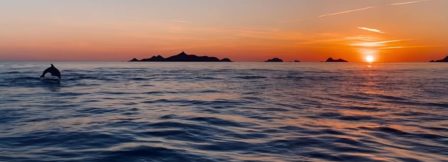 Ajaccio : Promenade en mer Coucher de Soleil des Sanguinaires