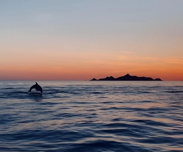 Ajaccio: tour in mare al tramonto delle Sanguinarie