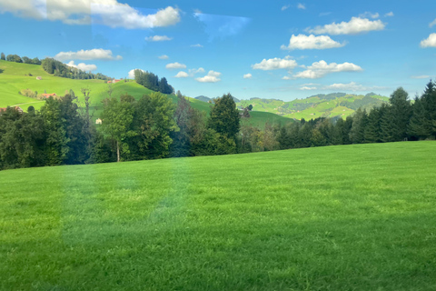Train to Abbey Library & Appenzell: Culture, Cheese & Views Including all Tickets
