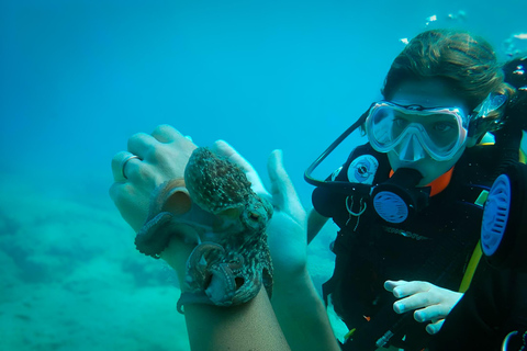 Rhodes: SSI Discover Scuba Diving with Photos & Pickup