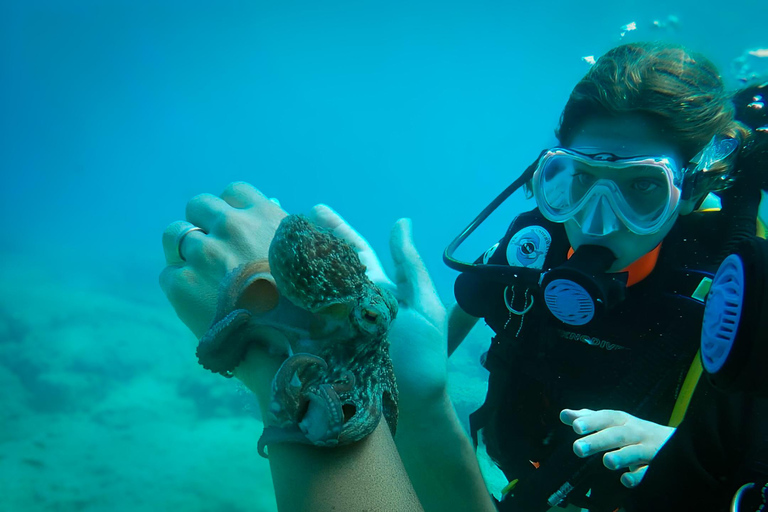 Rhodes: SSI Discover Scuba Diving with Photos & Pickup