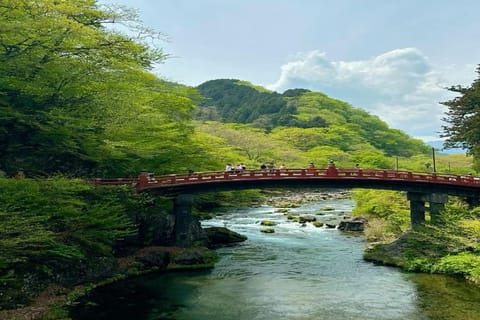 From Tokyo: Nikko Private Full-Day Tour with Guide - Image 2