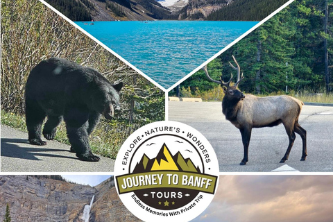 Full Day Private Tour Banff/Yoho Customized Sightseeing