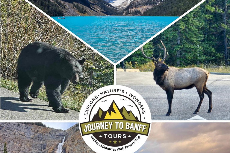 Visite privée d&#039;une journée Banff/Yoho Sightseeing personnalisé