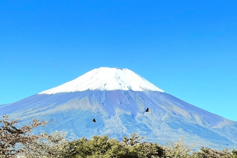 Z Tokio: całodniowa wycieczka na górę Fuji z angielskim kierowcą