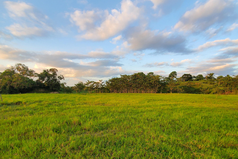 From Medellin; (All-In) The Real Horseback Ranch ExperienceMedellin Departure; Authentic Colombian Ranch Experience