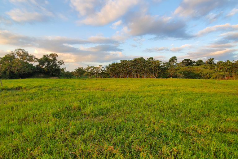 From Medellin; (All-In) The Real Horseback Ranch ExperienceMedellin Departure; Authentic Colombian Ranch Experience