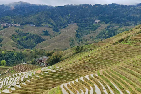 Longji Rice Terraces Easy Exploration Tour by Golf Cart