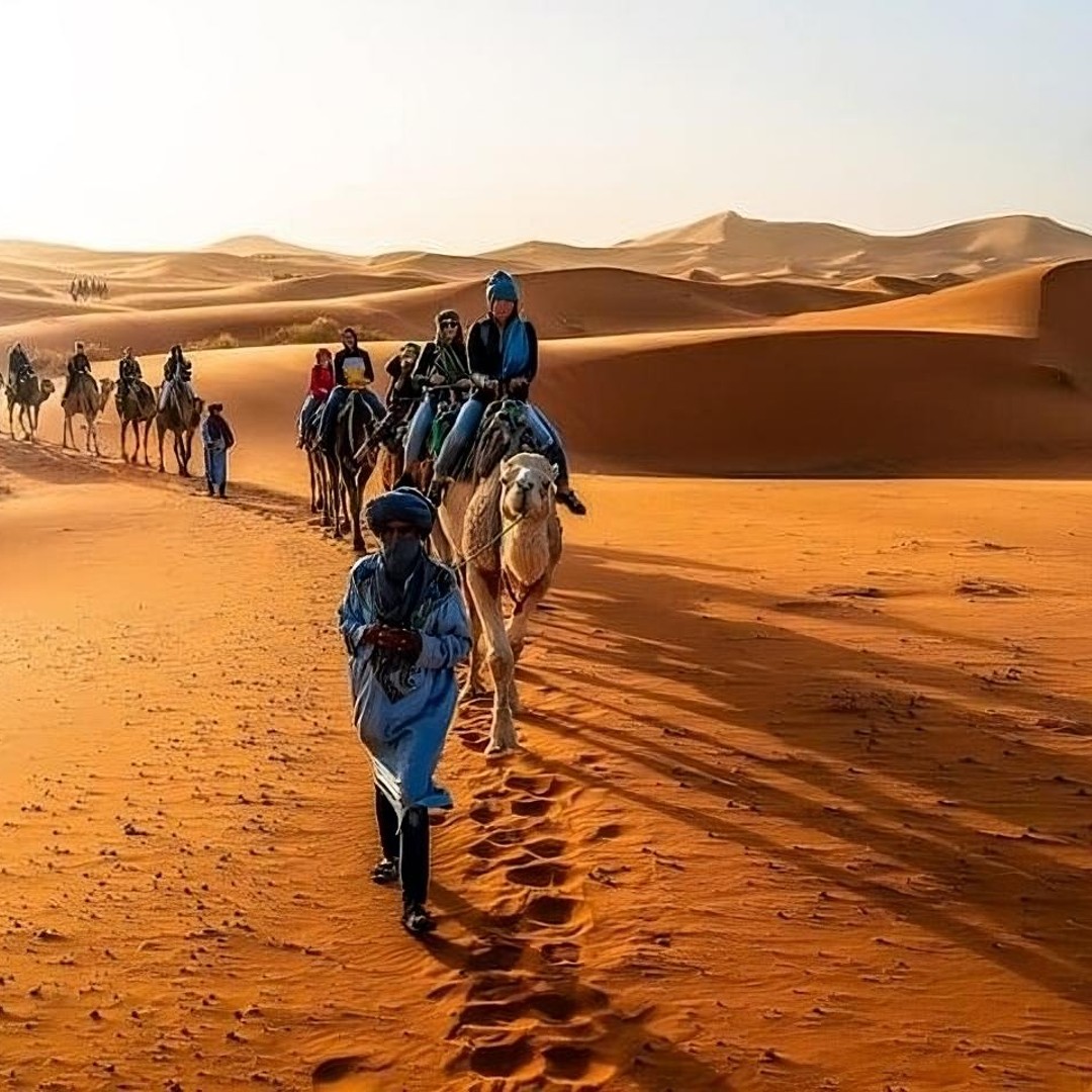 Fès : 2 jours d'excursion dans le désert à Merzouga (1 nuit), Marrakech - dromadaire