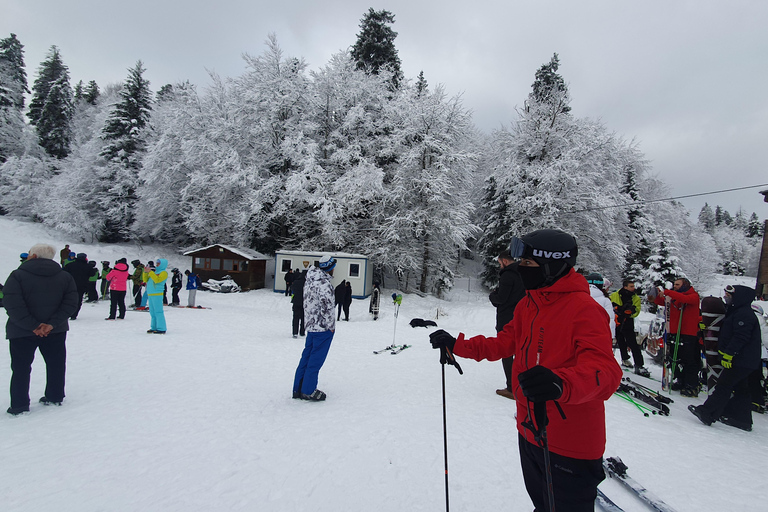 Borjomi Bakuriani Day Group Tour Without Guide