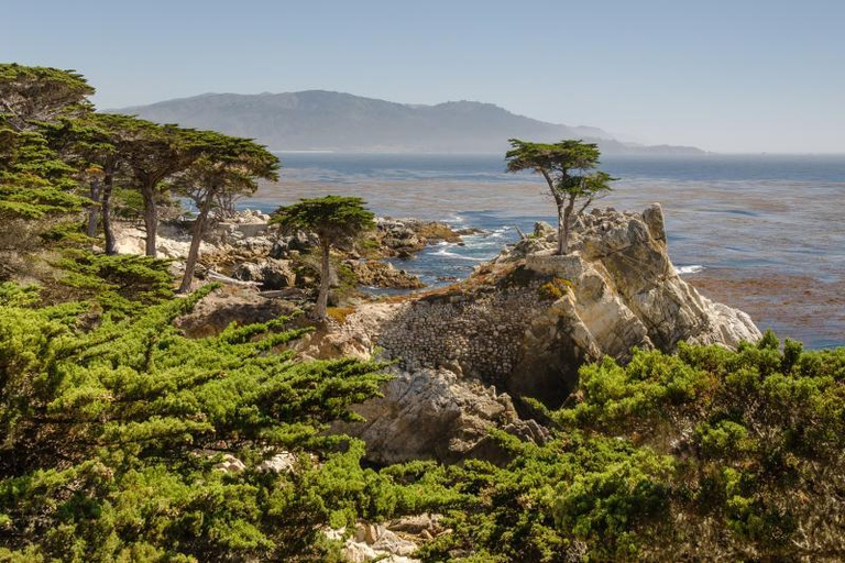 San Francisco: Monterey and Carmel Day Trip w/ 17-Mile Drive From San Francisco: Monterey and Carmel Day Tour