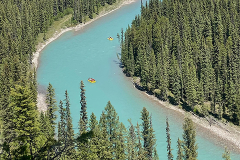 Radium Hot Springs: Kootenay River Rafting Adventure Classic Half Day (5+ Hours)