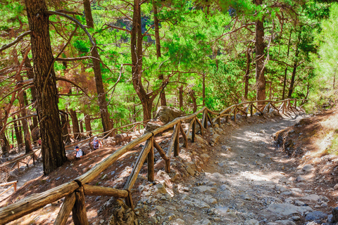 De Chania: Caminhada de 1 Dia à Garganta de SamariáDe Kalyves ou Almyrida