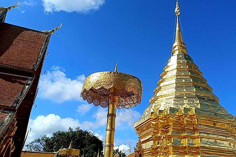 Chiang Mai: Doi Suthep, Wat Pha Lat & Sticky Waterfall TourChiang Mai: Doi Suthep-tempel en unieke kleverige waterval