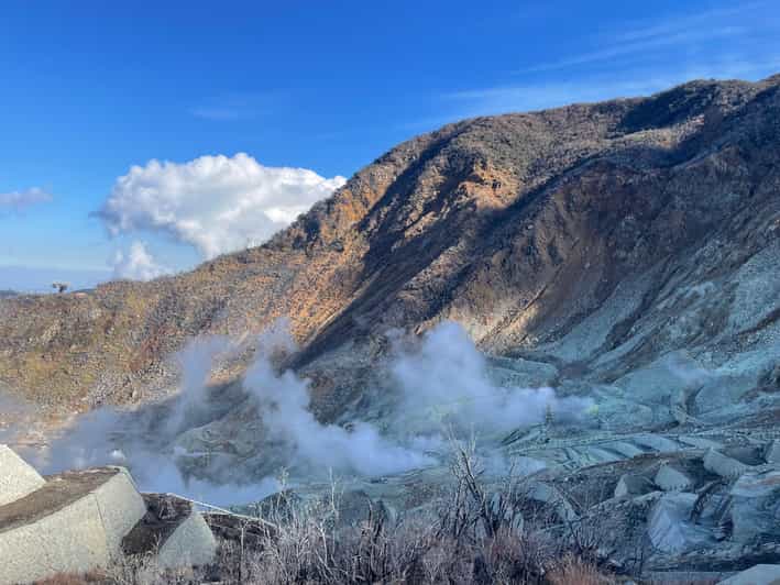 From Tokyo: Hakone Full Day Customizable Private Tour