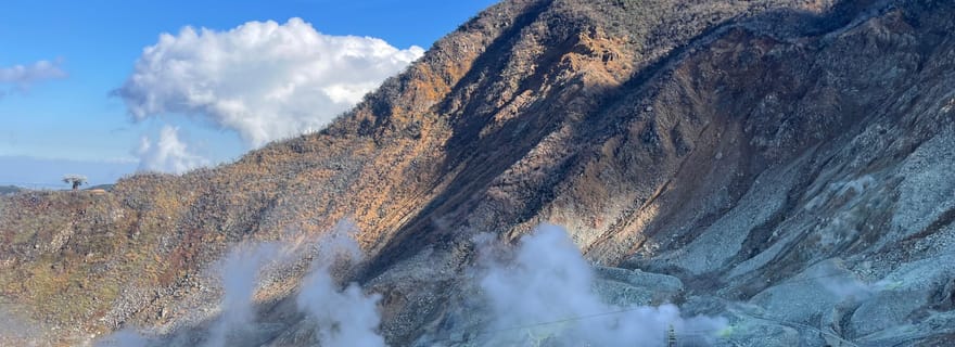 Au départ de Tokyo : Hakone - Excursion privée personnalisable d'une journée