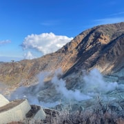 From Tokyo: Hakone Full Day Customizable Private Tour