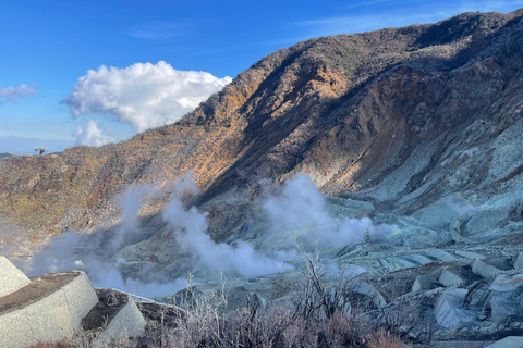 From Tokyo: Hakone Full Day Customizable Private Tour