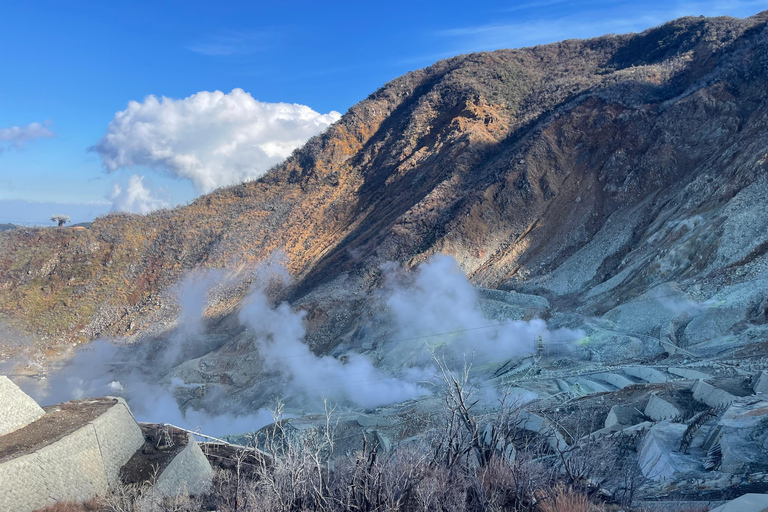 From Tokyo: Hakone Full Day Customizable Private Tour